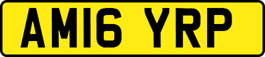 AM16YRP