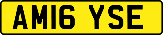 AM16YSE