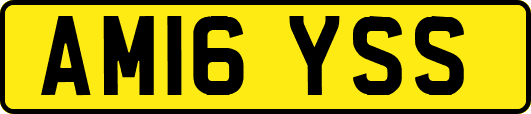 AM16YSS