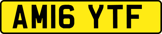 AM16YTF