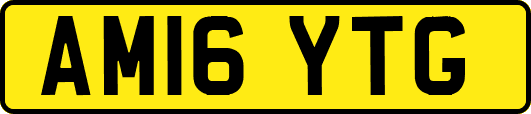 AM16YTG