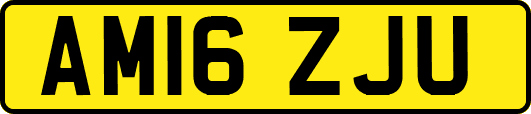 AM16ZJU