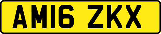 AM16ZKX