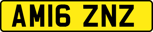 AM16ZNZ