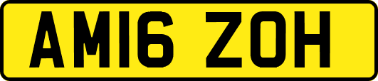 AM16ZOH