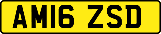 AM16ZSD