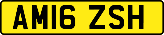 AM16ZSH
