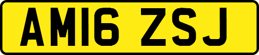 AM16ZSJ
