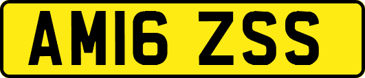 AM16ZSS
