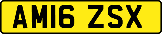 AM16ZSX