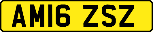 AM16ZSZ