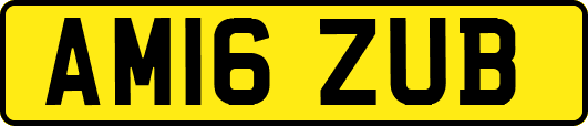 AM16ZUB