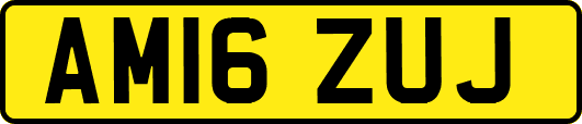 AM16ZUJ