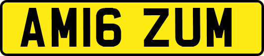 AM16ZUM