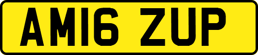 AM16ZUP
