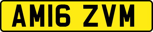 AM16ZVM
