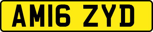 AM16ZYD