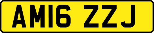 AM16ZZJ