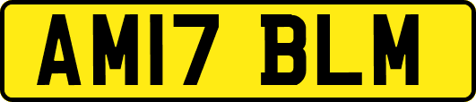 AM17BLM