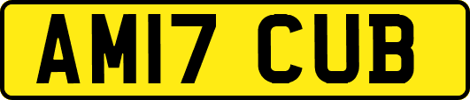 AM17CUB