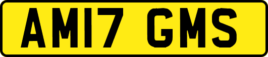 AM17GMS