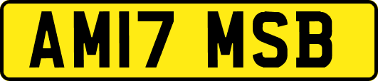 AM17MSB