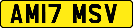 AM17MSV