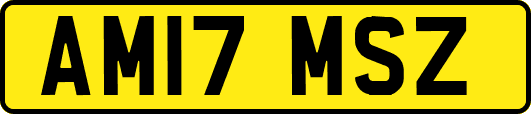 AM17MSZ