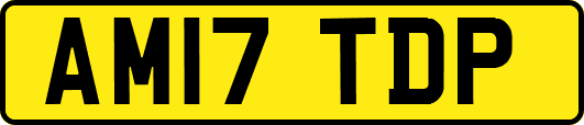 AM17TDP