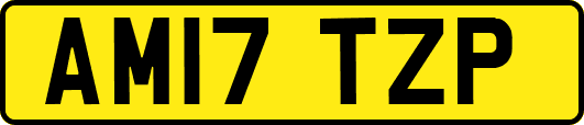 AM17TZP