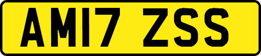 AM17ZSS