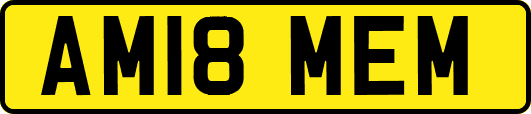 AM18MEM