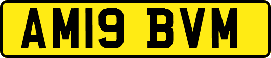 AM19BVM