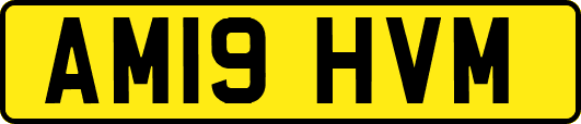 AM19HVM
