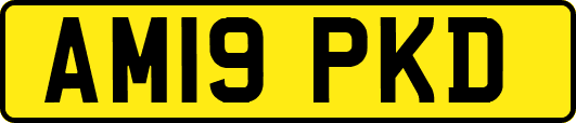 AM19PKD