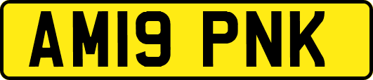 AM19PNK