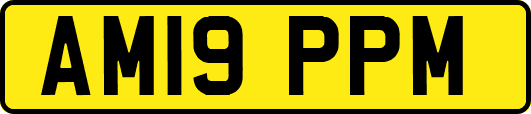 AM19PPM