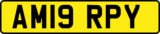 AM19RPY