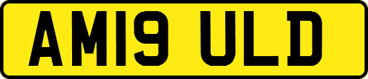 AM19ULD