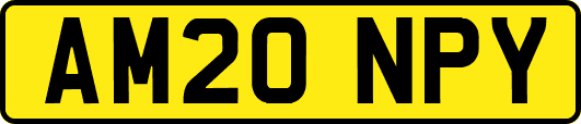 AM20NPY