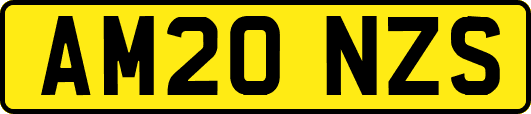 AM20NZS