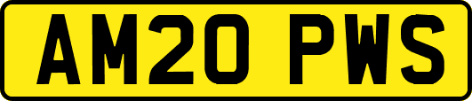 AM20PWS