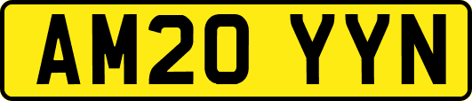 AM20YYN
