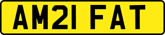 AM21FAT