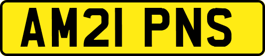 AM21PNS
