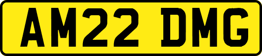 AM22DMG