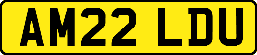 AM22LDU