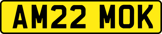 AM22MOK