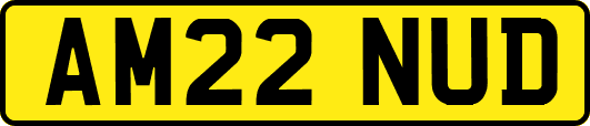 AM22NUD