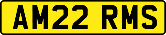 AM22RMS